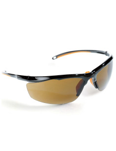 Lunettes fumées à branches fine EVALORA