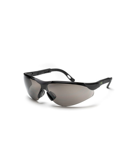 Lunettes fumées à branches réglables V141